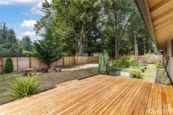 Back deck and raised beds