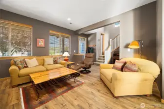 The living room is quite spacious and gets afternoon sunlight.