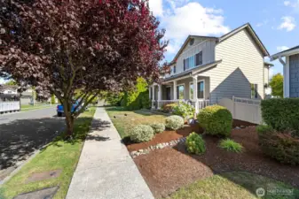Looking at the home from down the street.