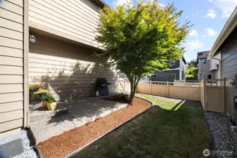 There is a great BBQ area just off the patio that opens to the dining room.