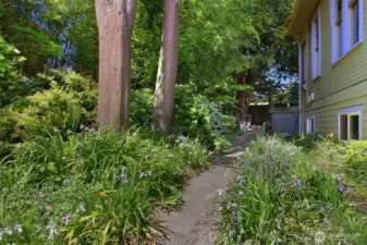 Wild irises and other plantings in Spring (this photo is from April)