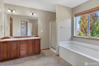 Primary bathroom