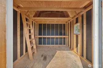 Interior of Shed in the back yard with loads of storage potential