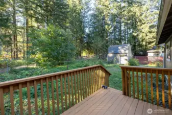 Rear Deck