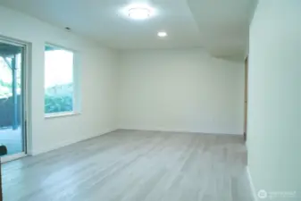 Living Room - Lower Level