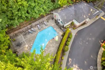 A view from above; the pool, lounge chairs and cabana can be seen. To the right (out of frame) is the guest parking.