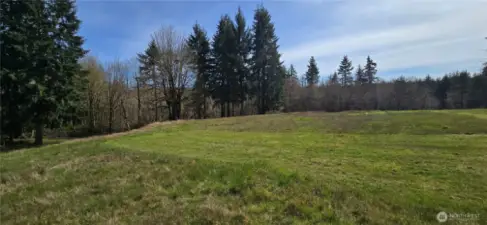 wide open views & privacy in the pasture