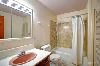 Lower level full bathroom