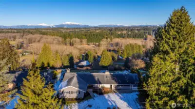 It is a sweeping view of the Cascade range. Northridge Drive has a neighborhood park at the entrance and is a very walkable neighborhood with a convenient in-town location. Love where you live!