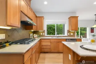 Brand NEW Samsung gas cooktop & vent hood highlighted by stylish tiled backsplash.