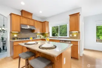 Gourmet kitchen with quartz countertops, center island, undercabinet lighting, and BRAND NEW Samsung gas cooktop & vent hood.