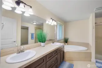 Primary 5-piece bathroom with garden tub, and separate shower.