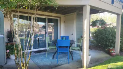 Backyard covered Patio