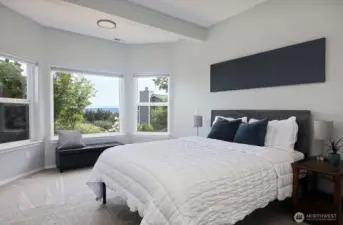 Second lower level bedroom