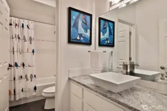 Lower level guest bathroom