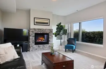 Spacious family room on the lower level with slider out to front patio