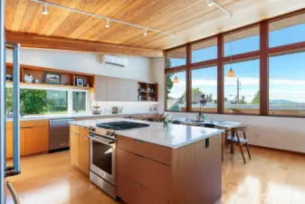 Natural gas oven with downdraft venting.