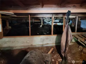 back of the under house area
