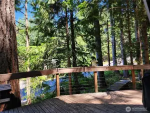view of the trees