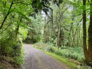 Follow the 1/4 mile driveway up the mountain.