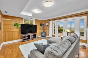 Lower-level family room