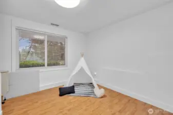 lower level 3rd bedroom