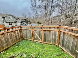 Fenced backyard