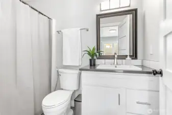 Main bathroom off the hallway.