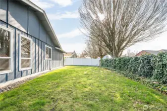 Side yard on corner lot