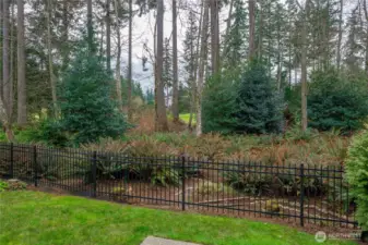 Peaceful backyard bordered by mature trees and natural greenery for added privacy.