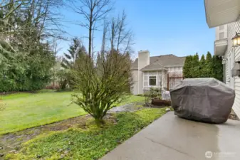 Back patio and green space.