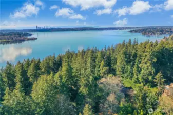 Home is Less than 1/4 mile to Lake.Washington….hikers and kayakers rejoice!