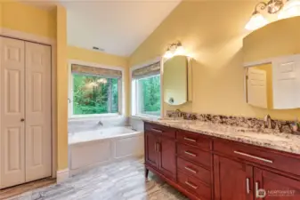 Primary 5 piece bathroom.