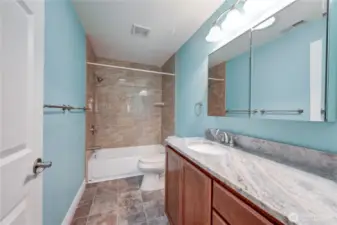 Guest hall bathroom.