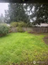 Back Yard 3.