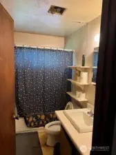 Main Bathroom