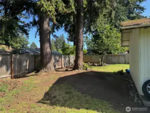 Back Yard.
