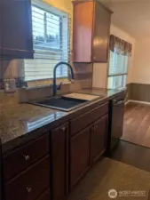 Nice big farm sink, window into the side yard and lots of natural light!