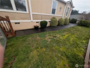 Side yard by the front door.