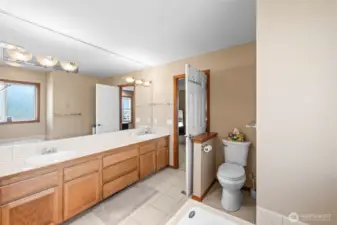 Primary 5 piece bath