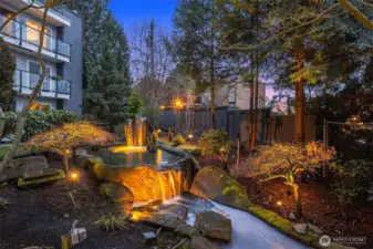 Tranquil Pond in Your Backyard!