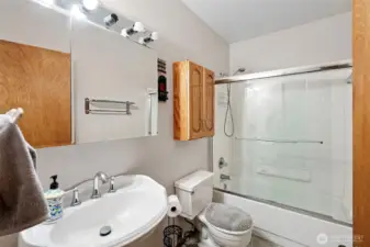Full bath on the lower level