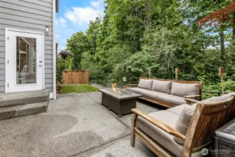 Amazing Privacy in Back Yard