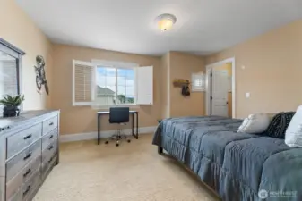 2nd Bedroom with Walk-in Closet