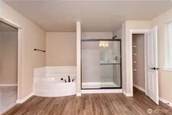 Primary BR bath