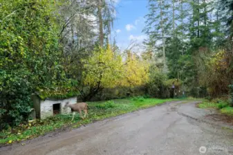 Gated entry. Deer love to meander through