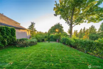 new sod - weekly lawn maintenance happy to share the gardeners information