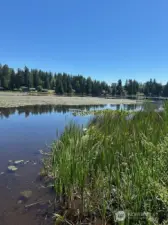 This lot has two parts. One piece has lake access!