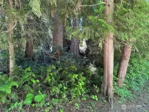 Another view of the property.