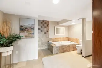 Mother-in law spa like ensuite bathroom